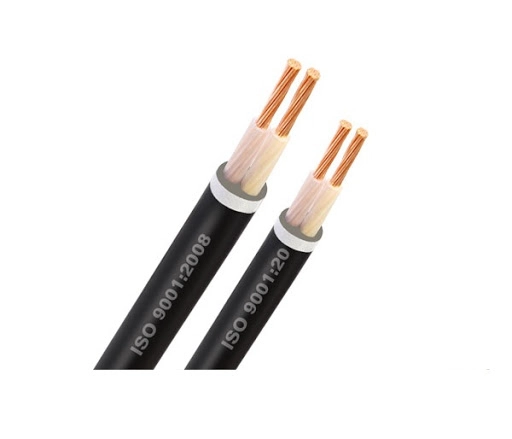 Cáp điện Cu/XLPE/PVC 2x