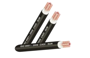 Cáp điện Cu/XLPE/PVC 3x+1